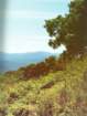 photo2_small.jpg